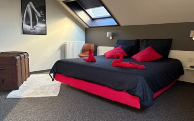 Damse Love Room in Hoeke/Damme